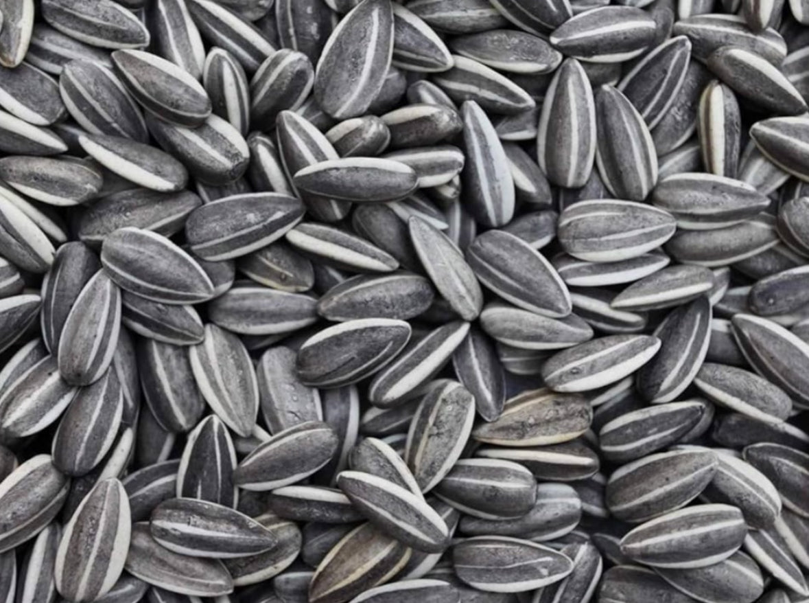 Sunflower seed(500g)